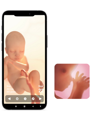 Schwangerschafts-apps-Schwangerschaft